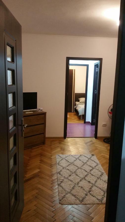 Apartament Lavinia Călimăneşti Eksteriør billede